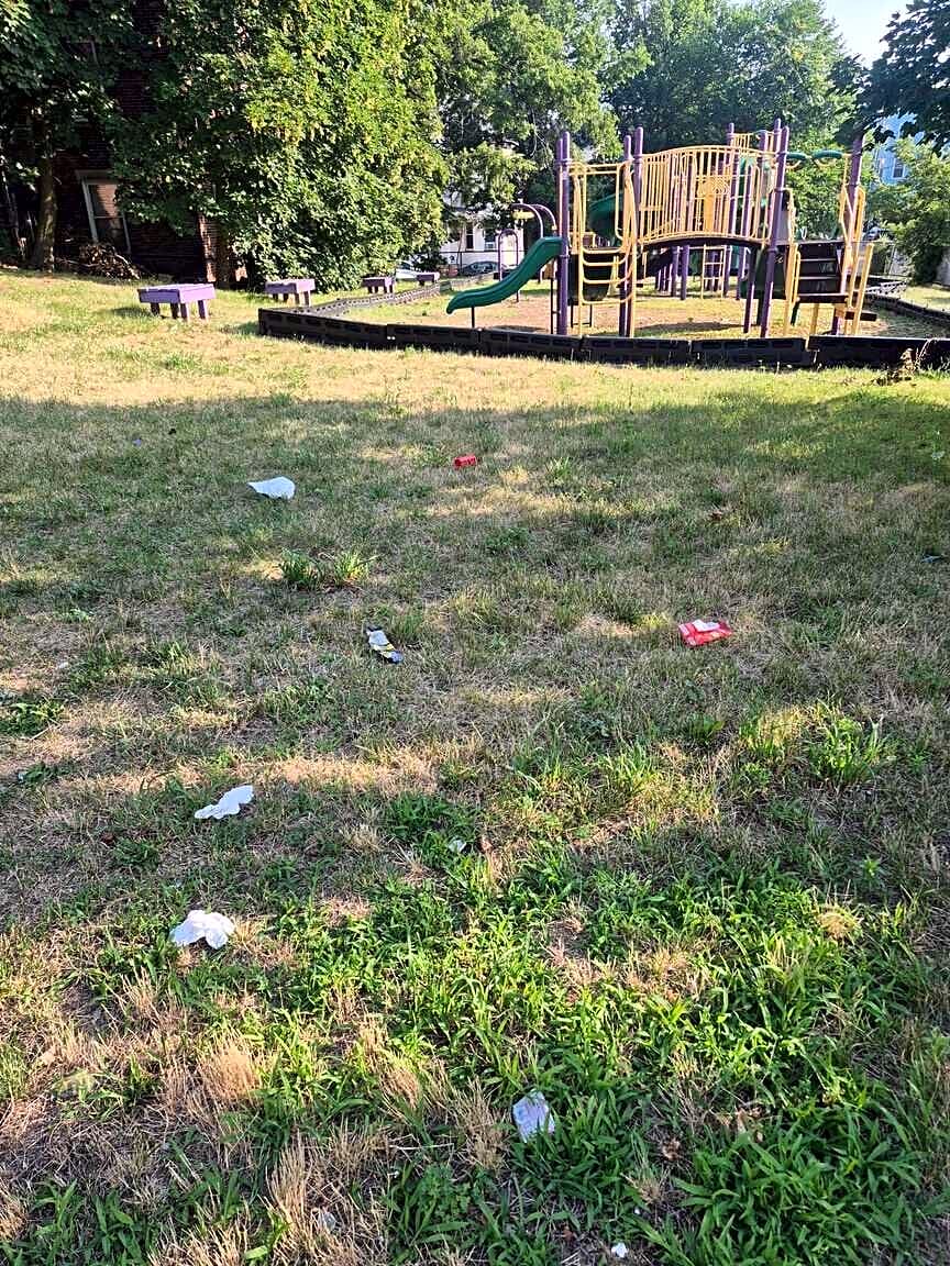Image submitted with report