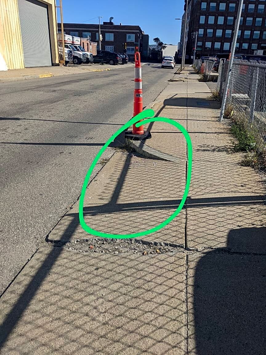 Image submitted with report