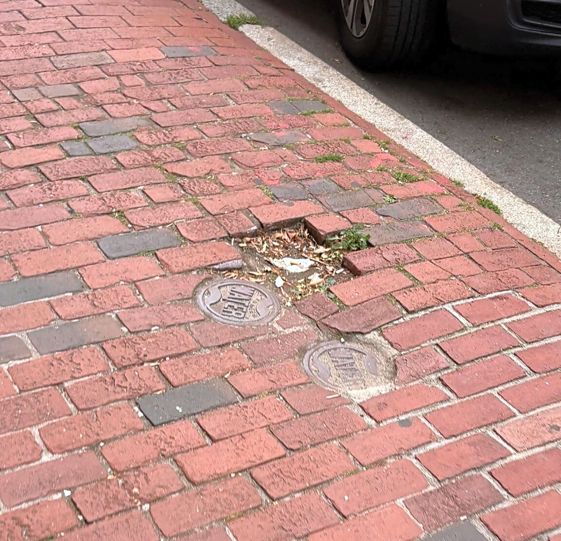 Image submitted with report