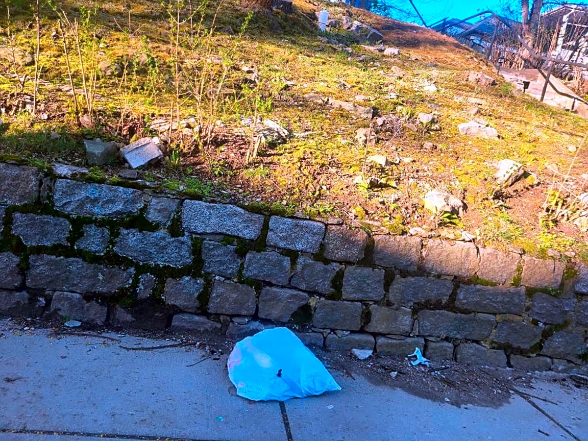 Image submitted with report