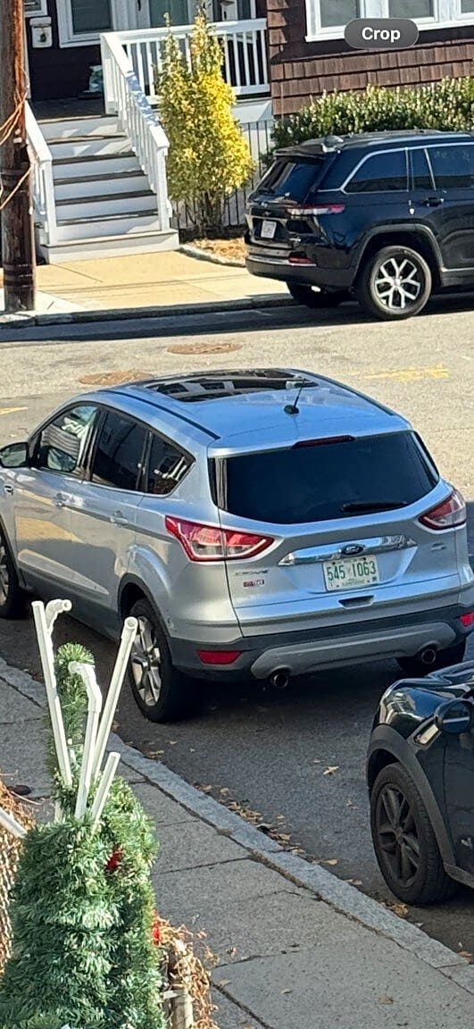 Image submitted with report