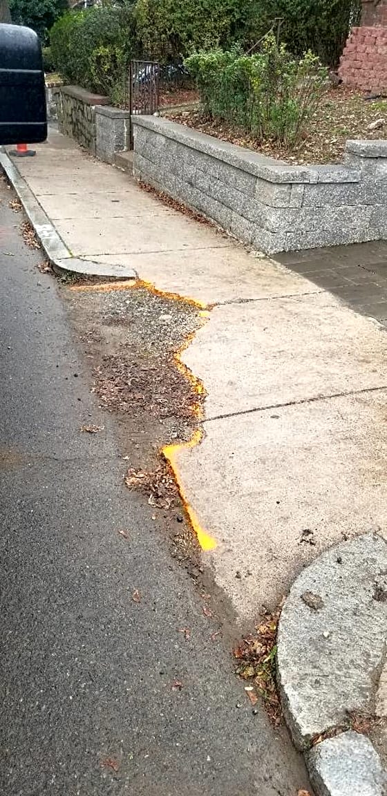 Image submitted with report