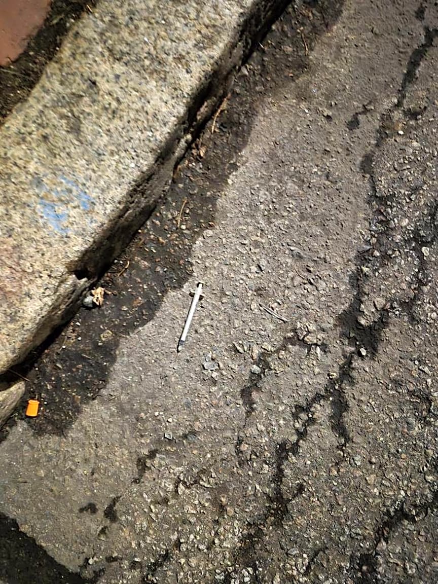 Image submitted with report