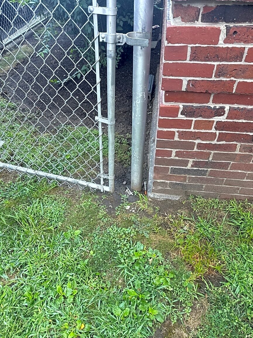 Image submitted with report