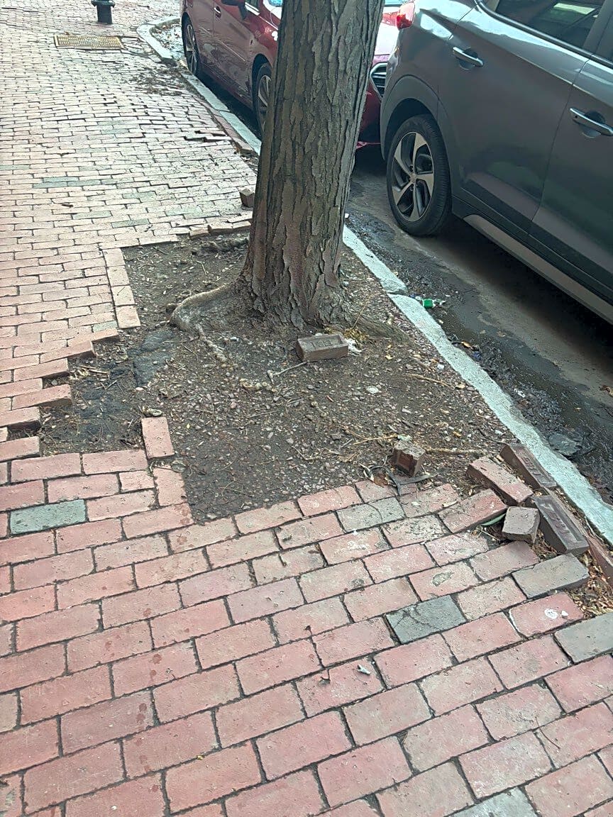 Image submitted with report