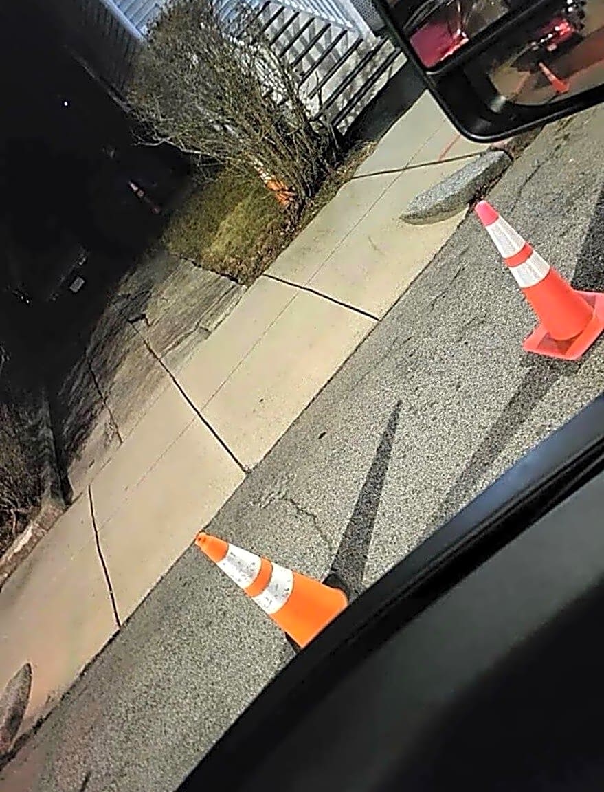 Image submitted with report