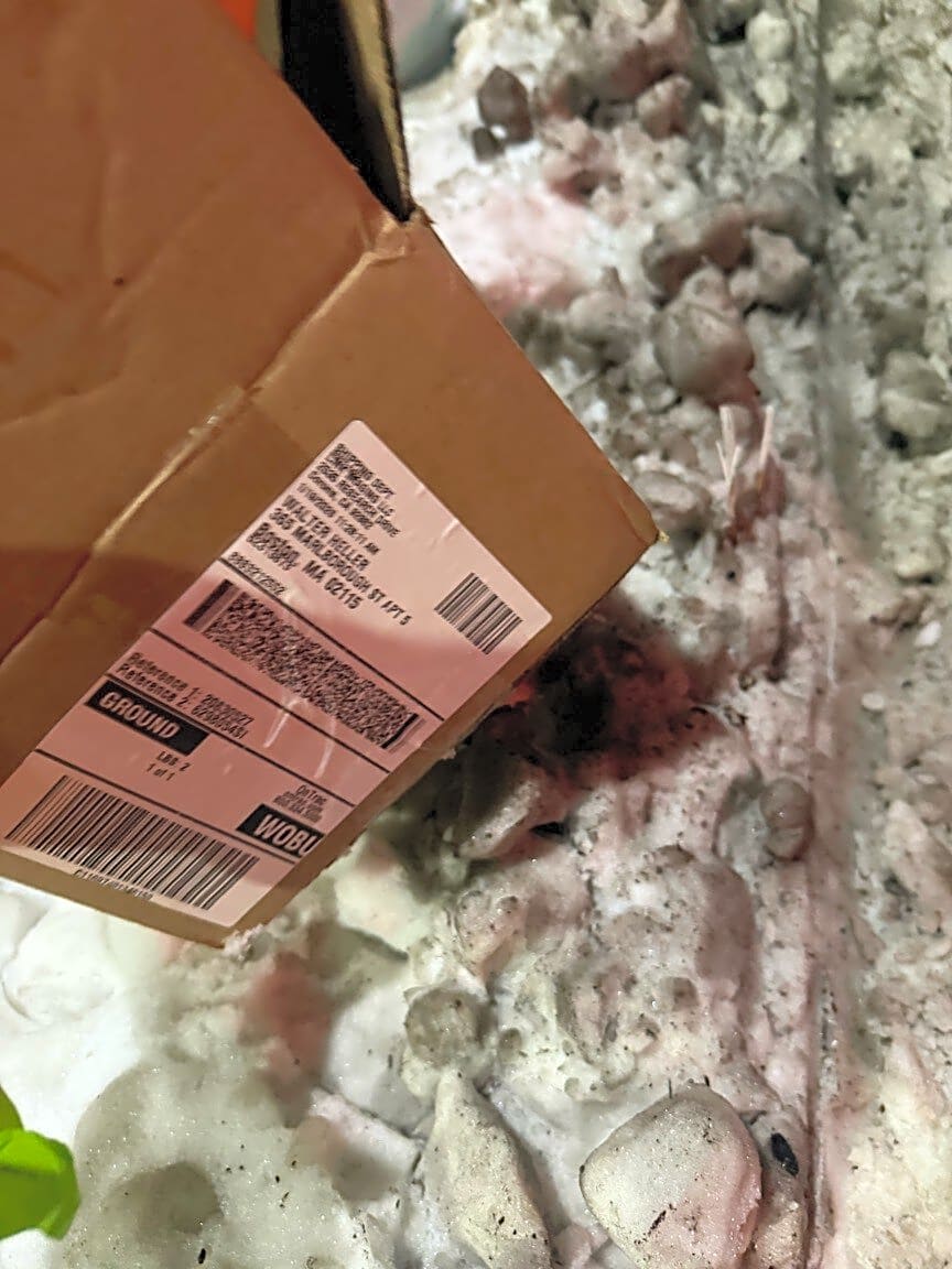 Image submitted with report