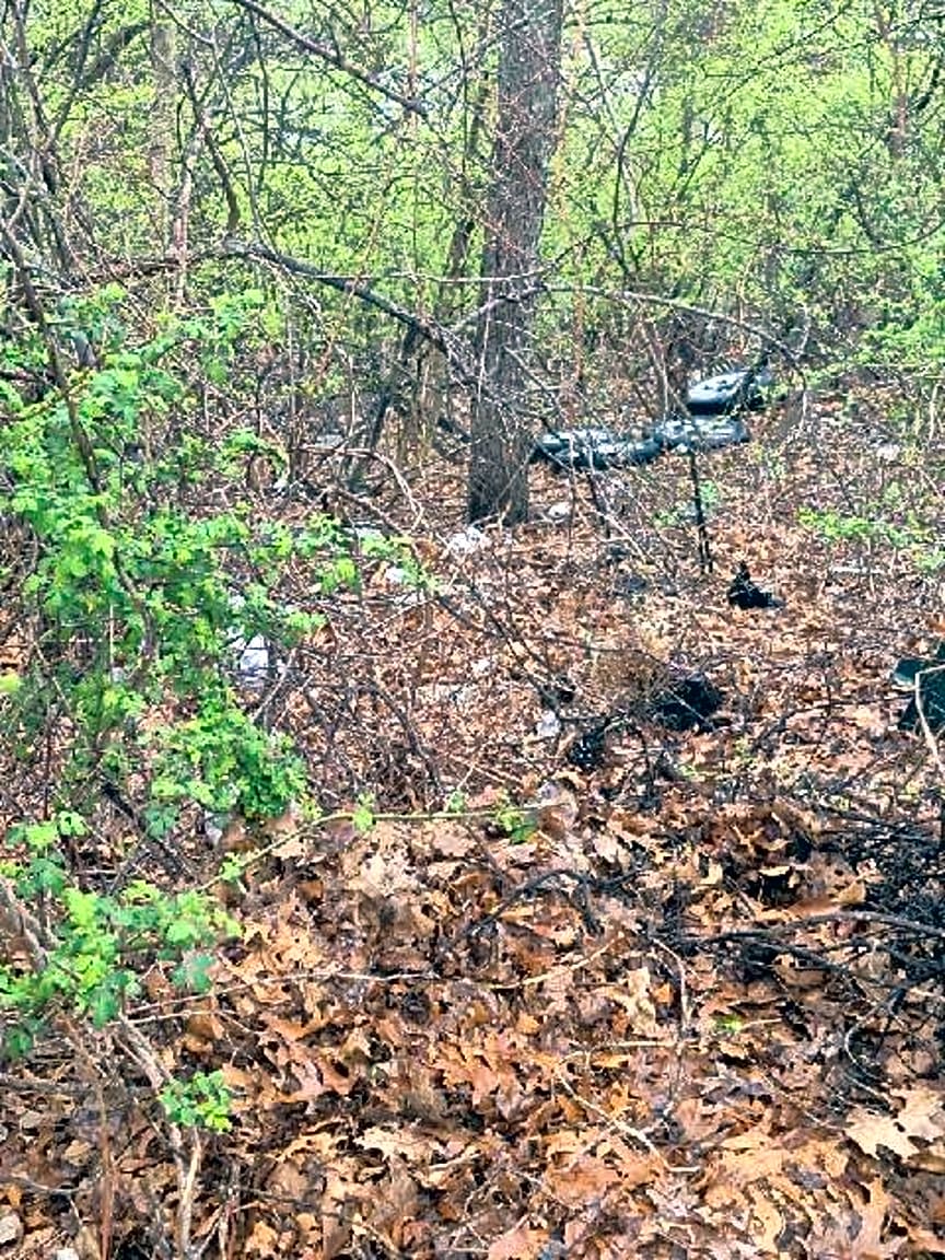 Image submitted with report