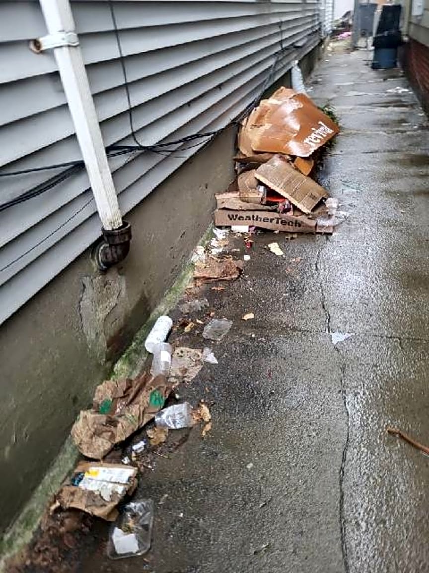 Image submitted with report