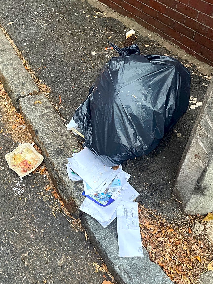 Image submitted with report