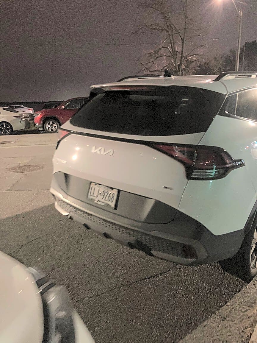 Image submitted with report