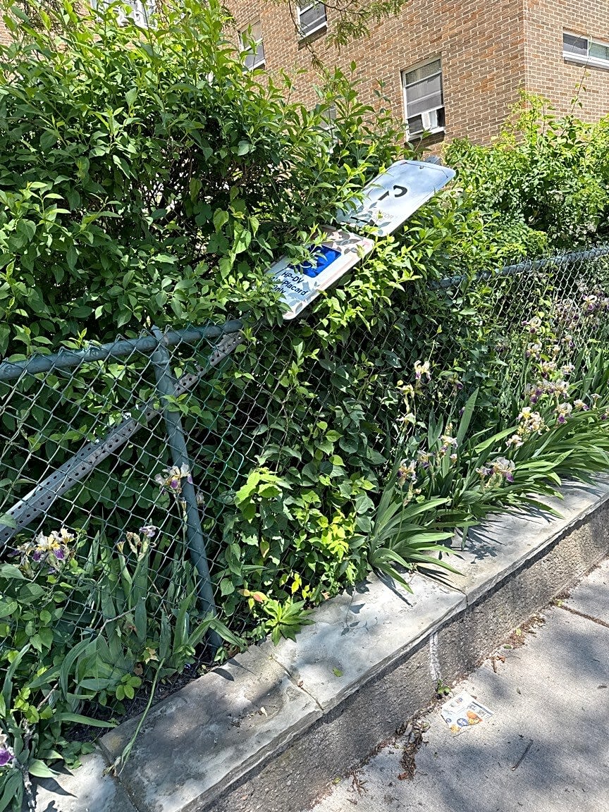 Image submitted with report