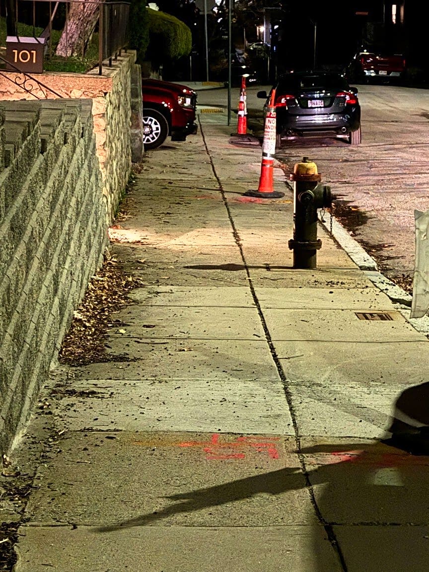 Image submitted with report