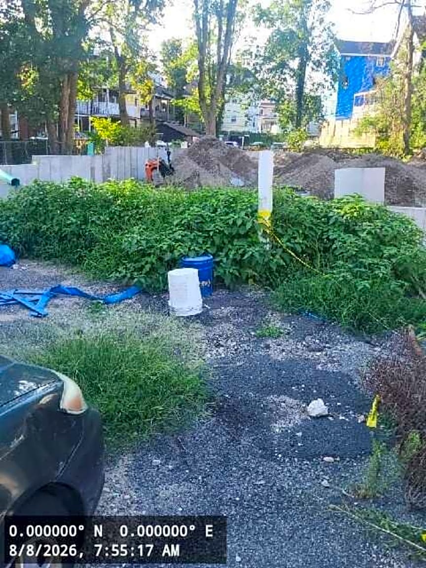 Image submitted with report