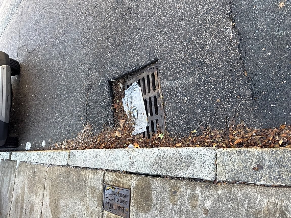 Image submitted with report