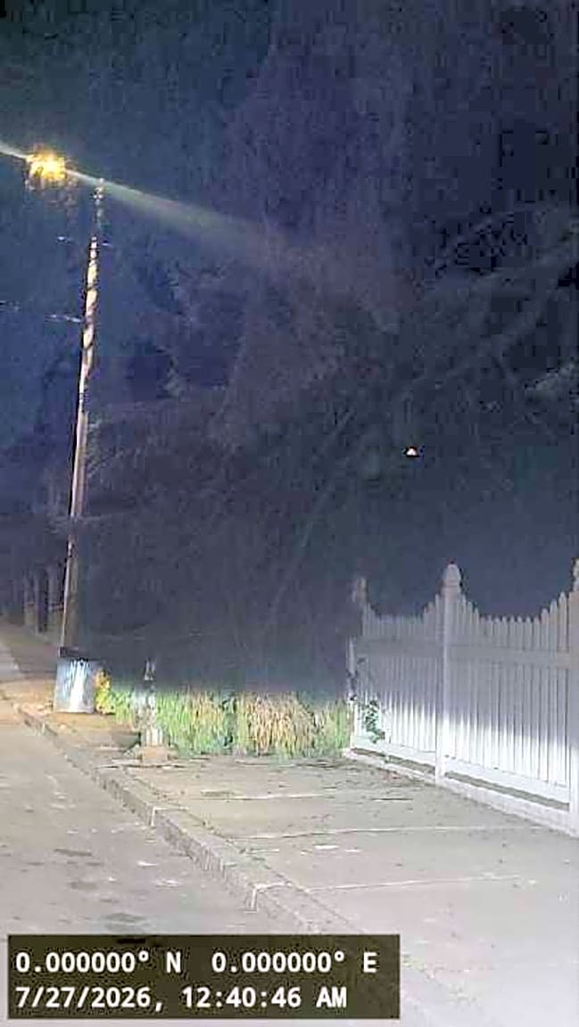 Image submitted with report
