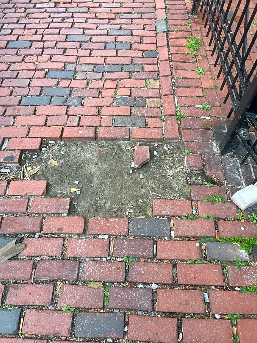 Image submitted with report