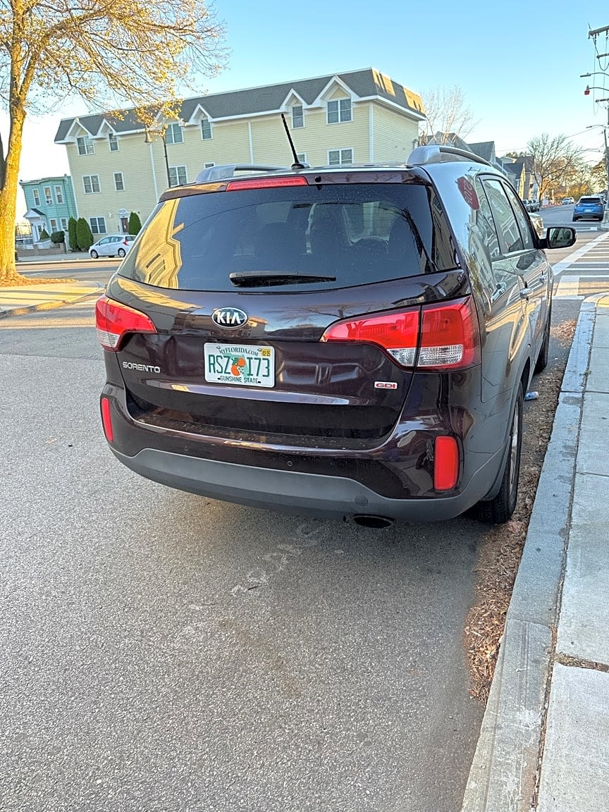 Image submitted with report