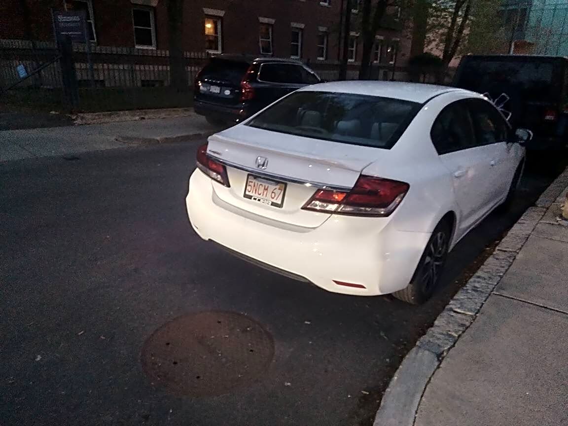 Image submitted with report