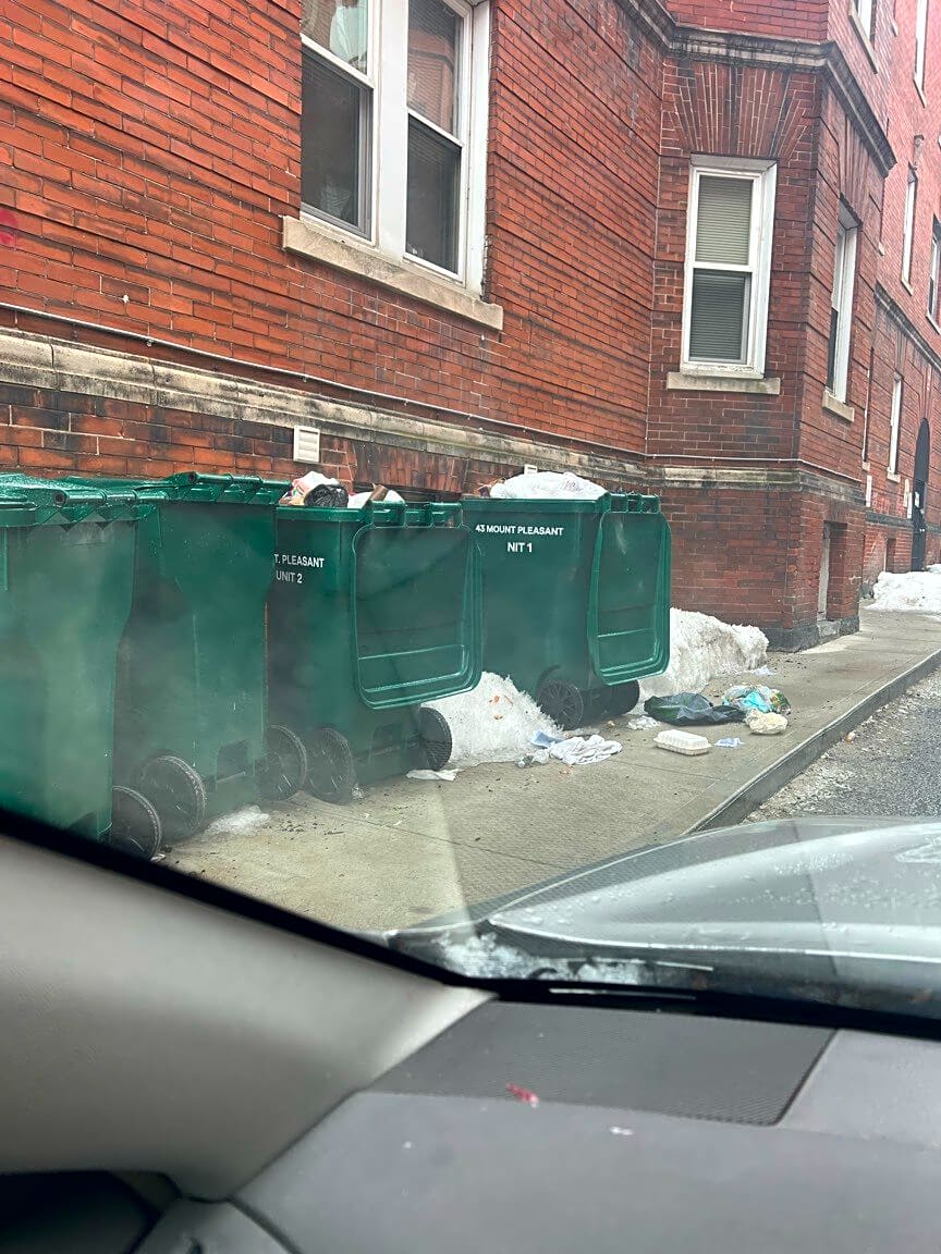 Image submitted with report