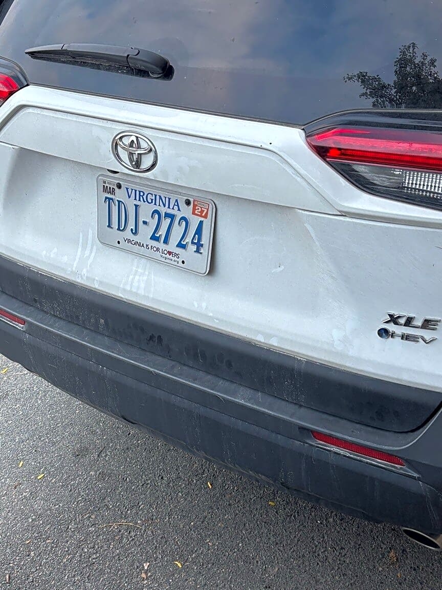 Image submitted with report