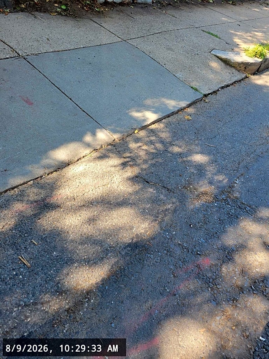 Image submitted with report