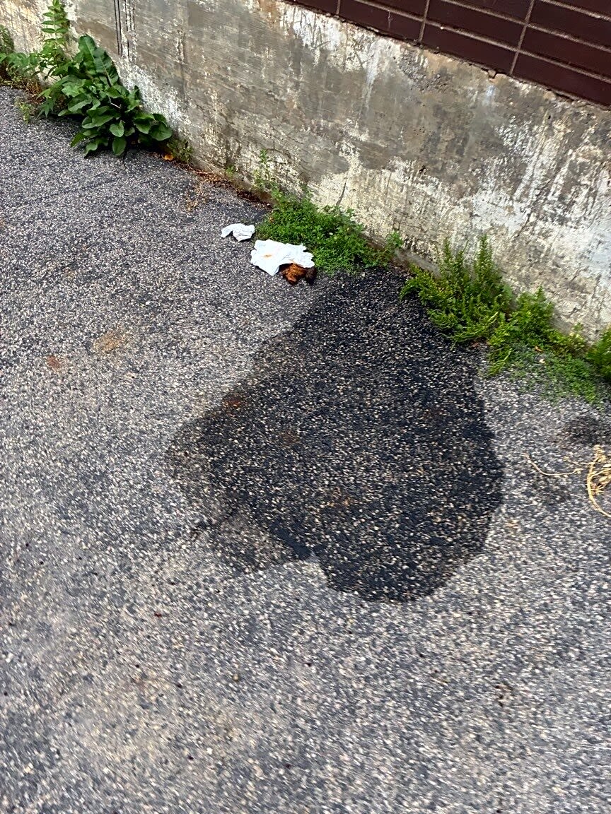 Image submitted with report