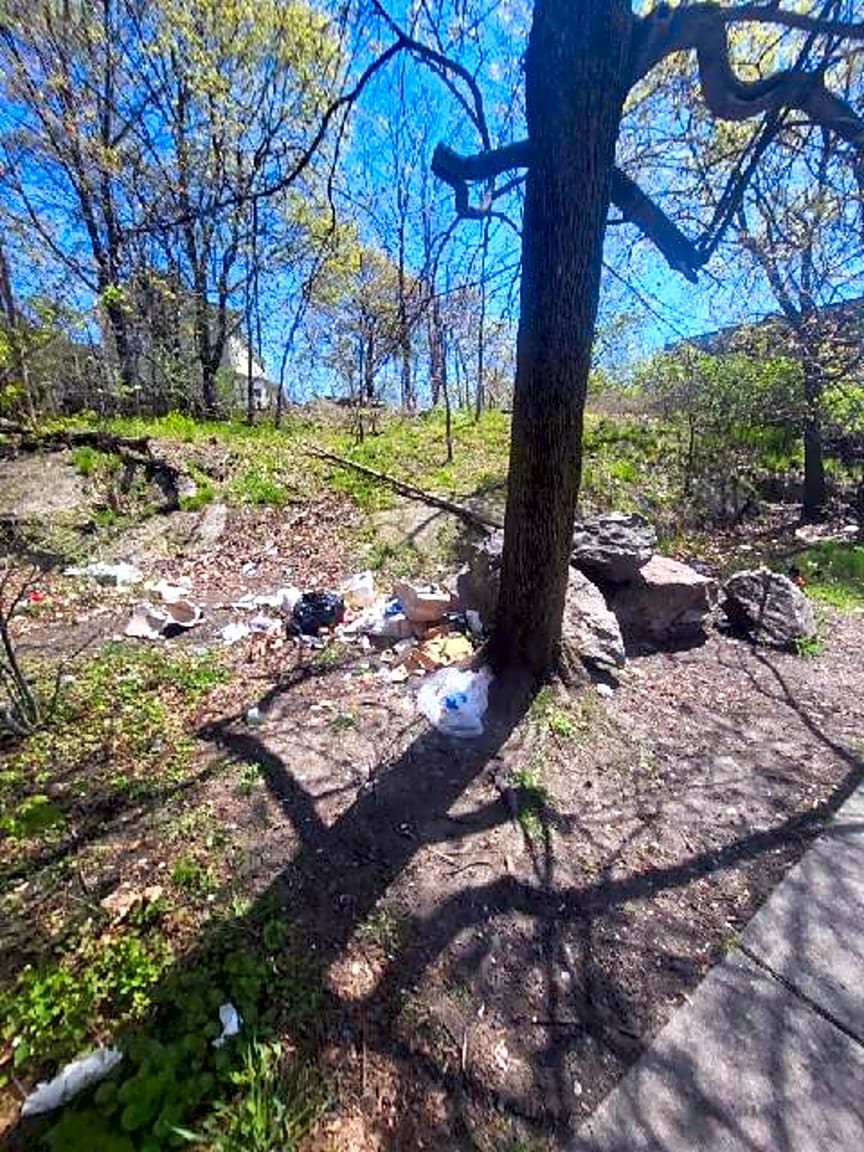 Image submitted with report