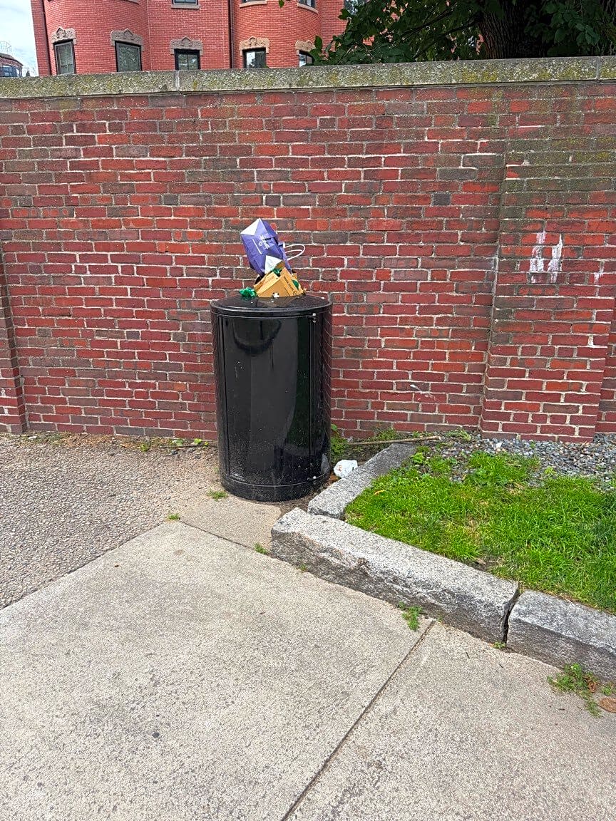 Image submitted with report