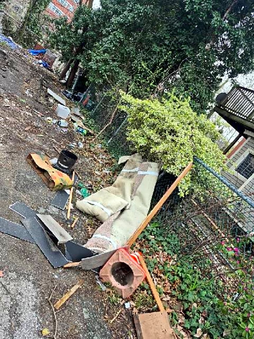 Image submitted with report