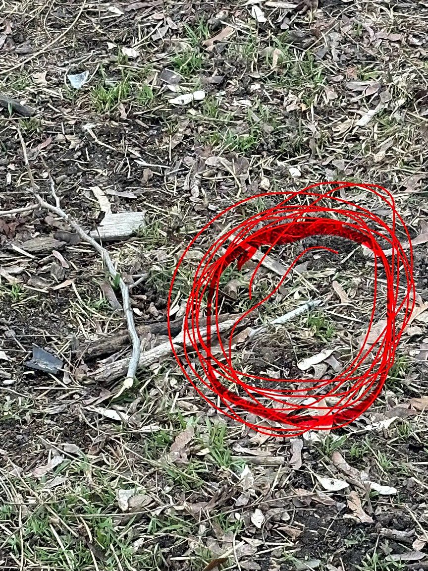 Image submitted with report