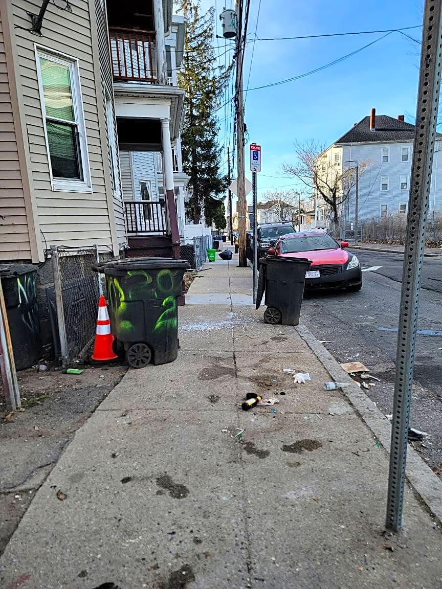 Image submitted with report