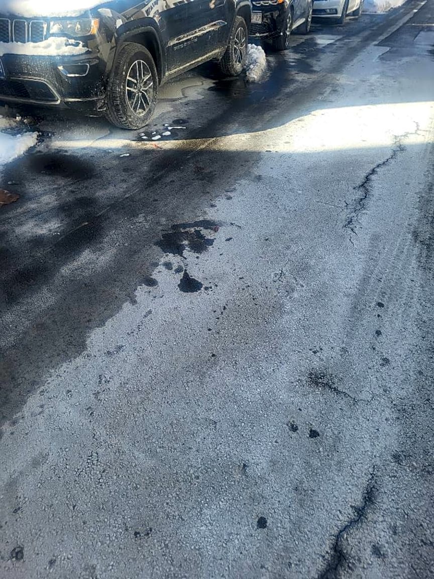 Image submitted with report