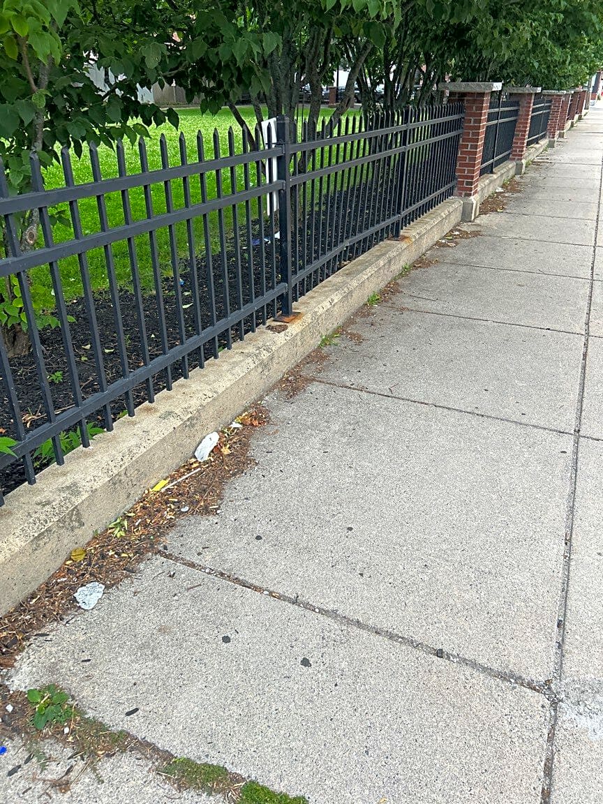 Image submitted with report