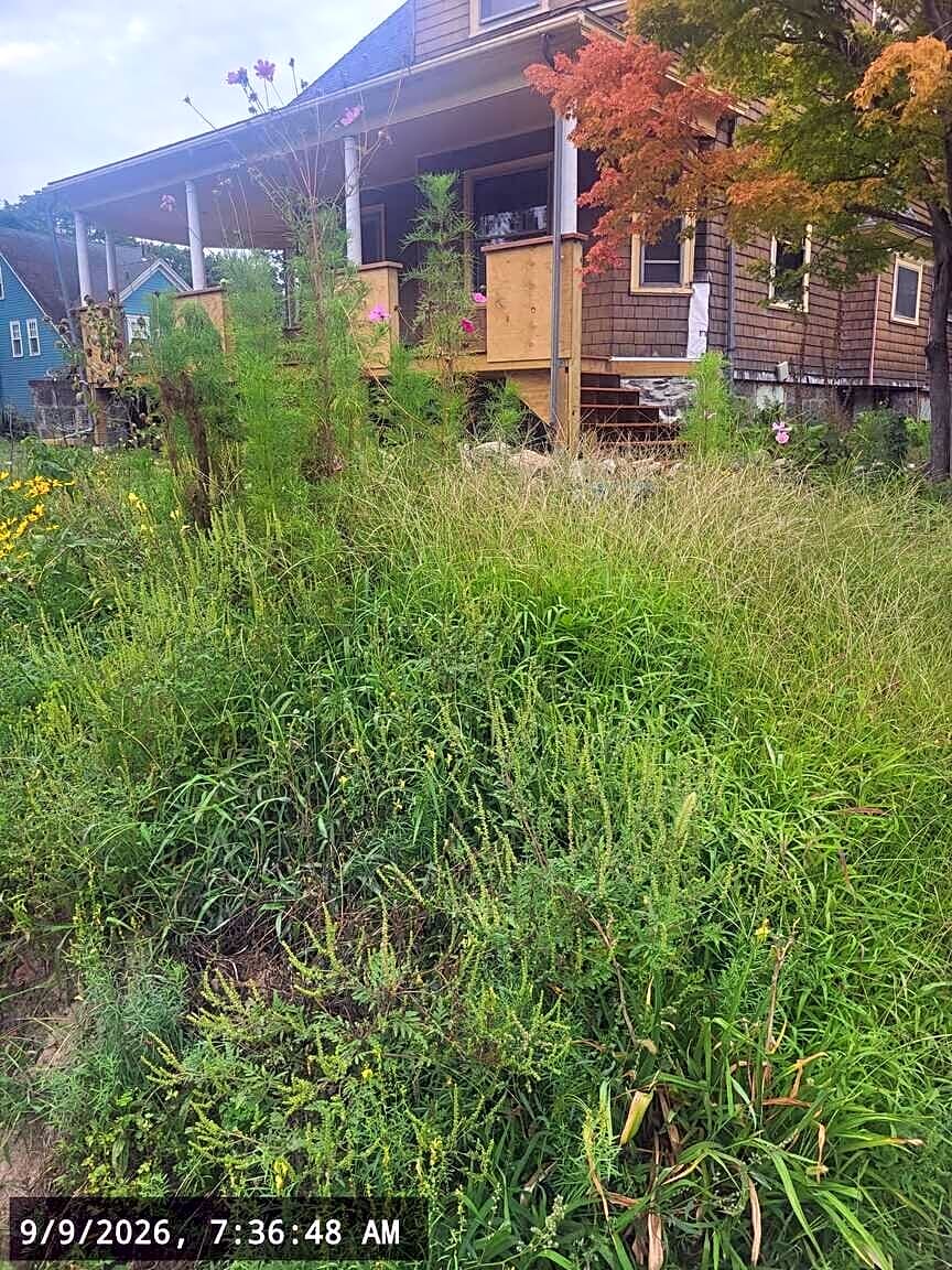 Image submitted with report