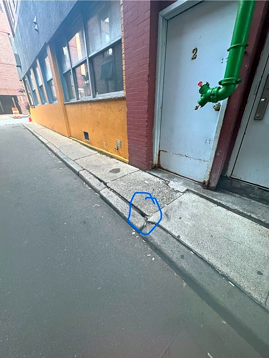 Image submitted with report