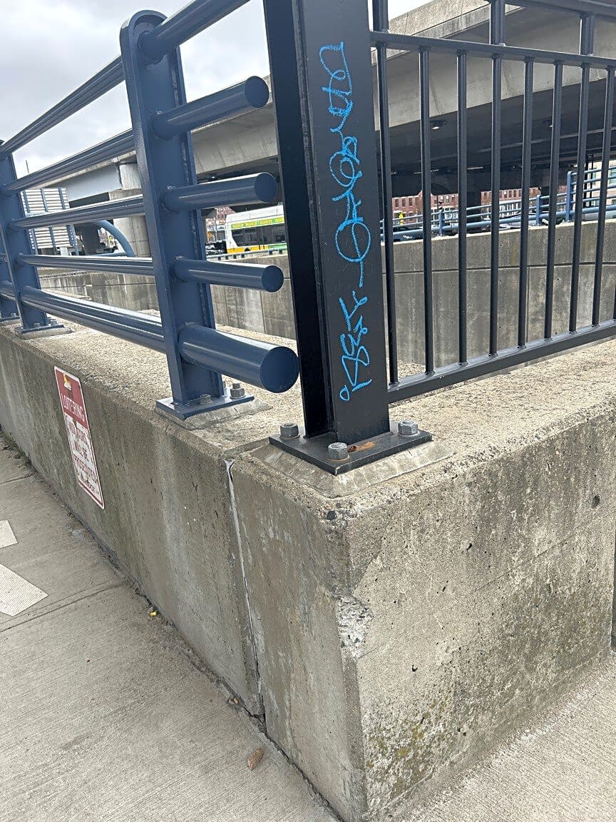 Image submitted with report