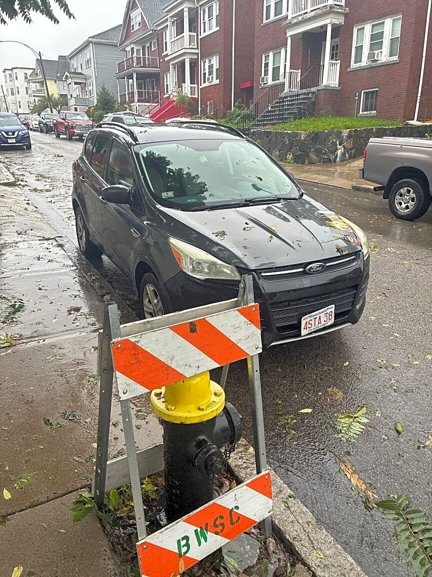 Image submitted with report
