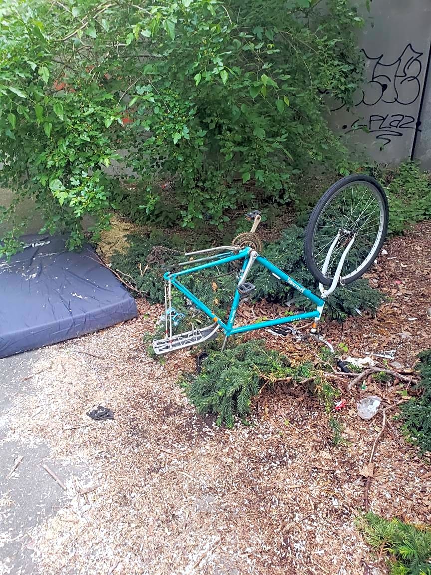 Image submitted with report