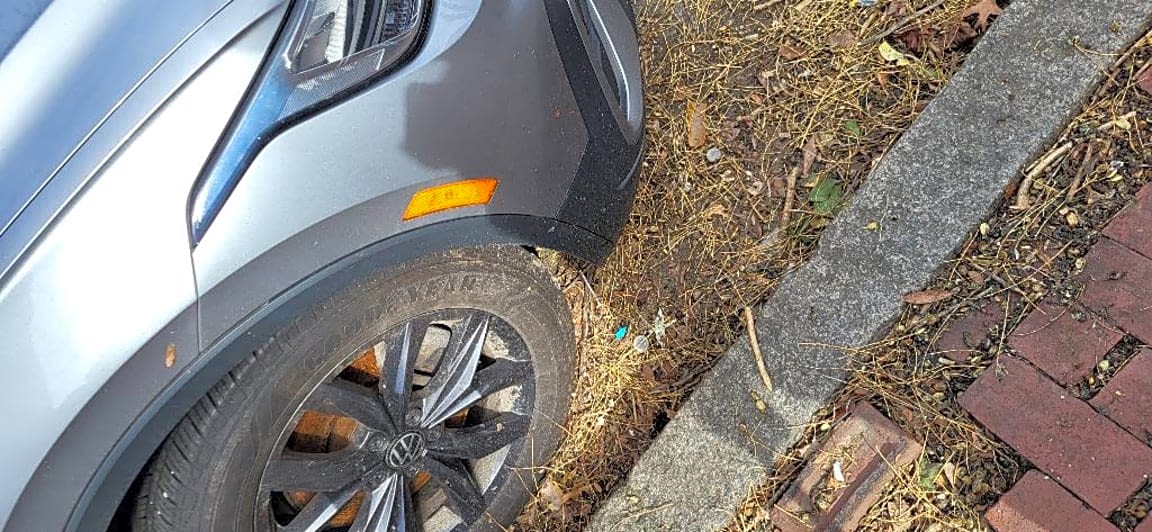 Image submitted with report