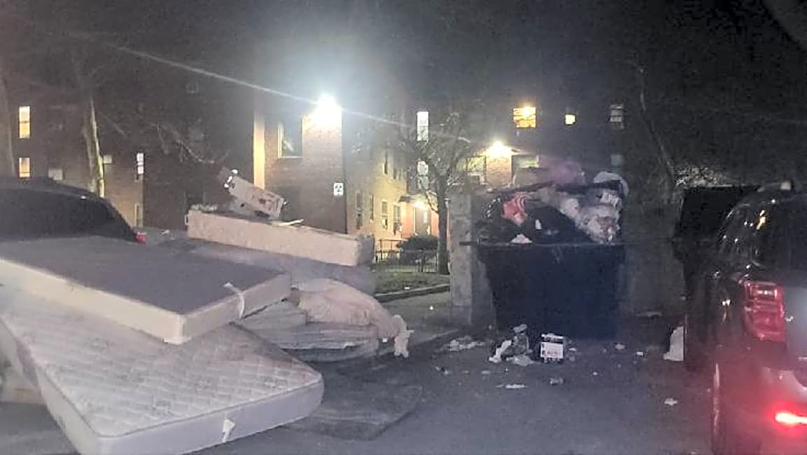 Image submitted with report