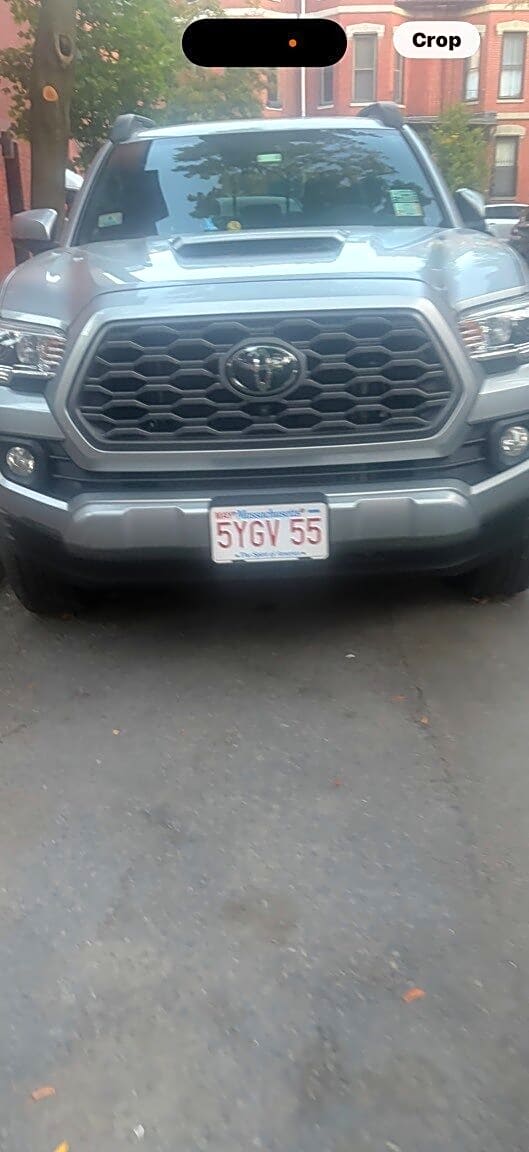 Image submitted with report