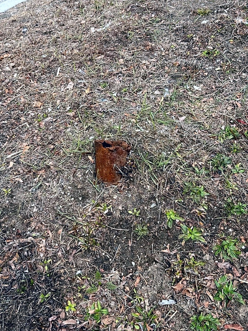 Image submitted with report