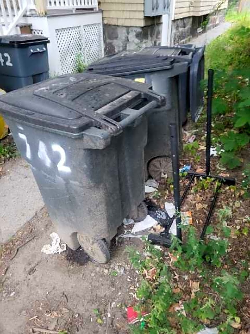 Image submitted with report