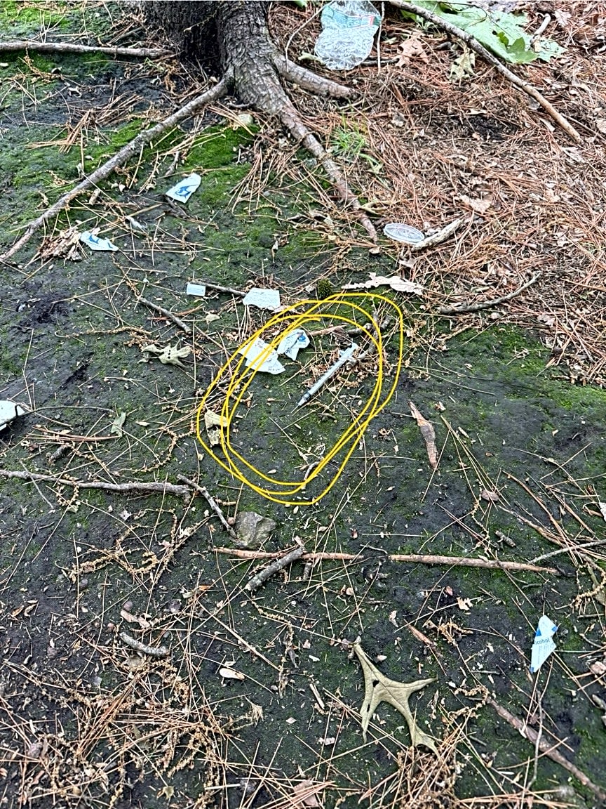 Image submitted with report