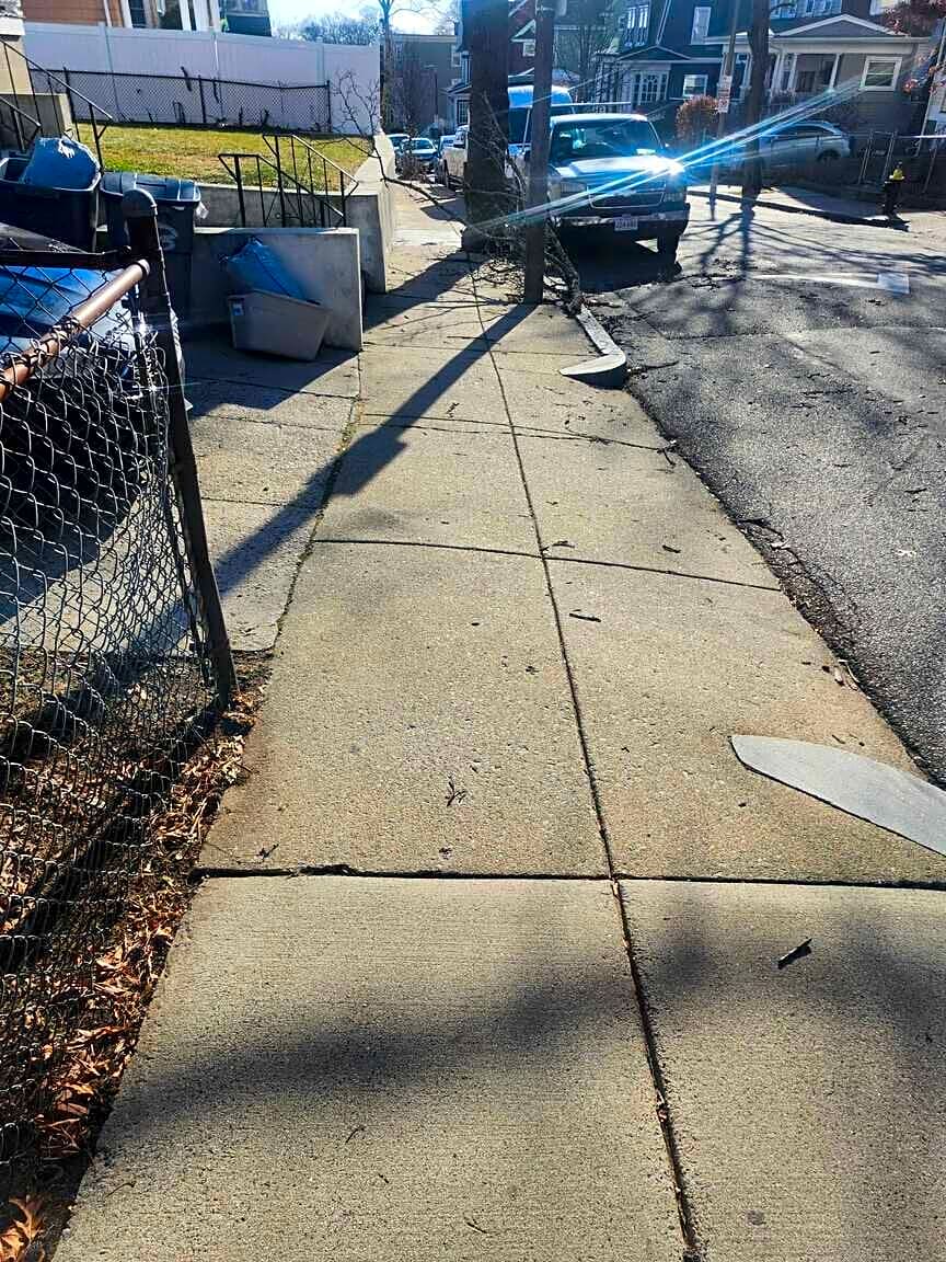 Image submitted with report