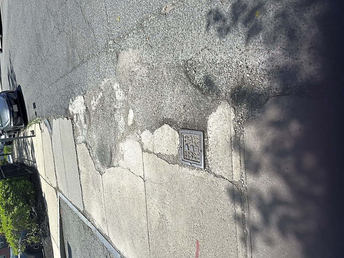 Image submitted with report