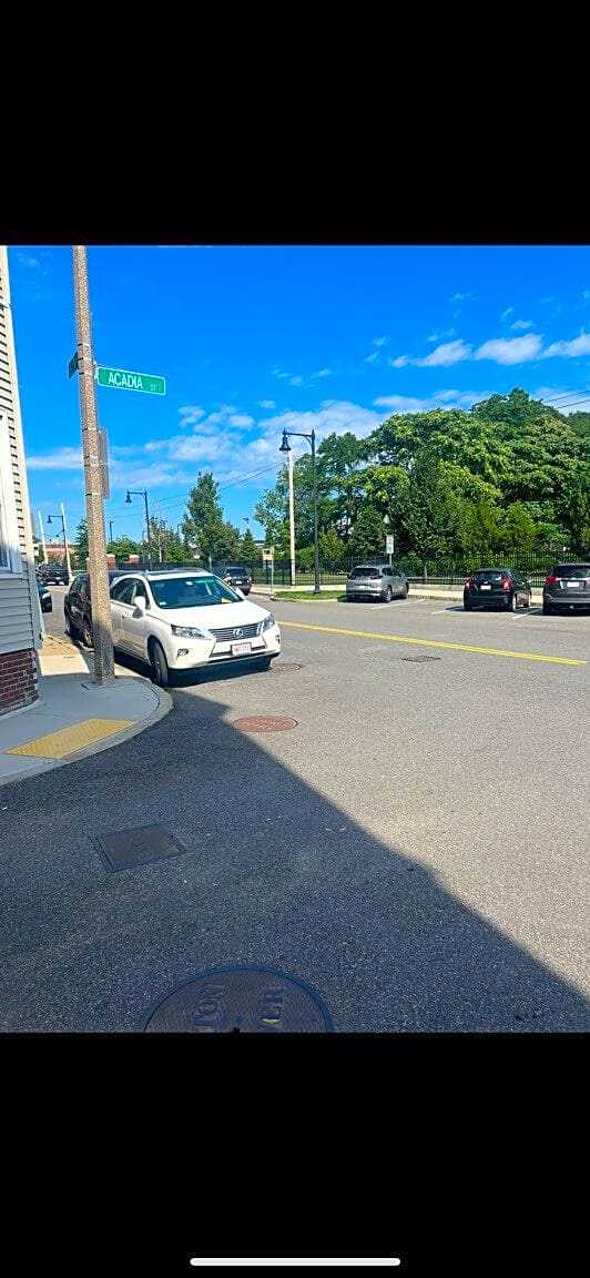 Image submitted with report