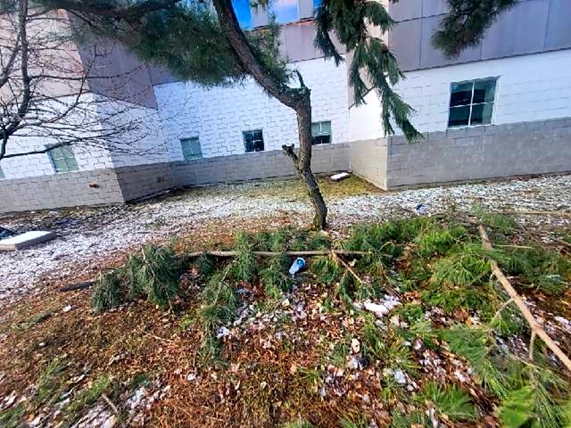 Image submitted with report