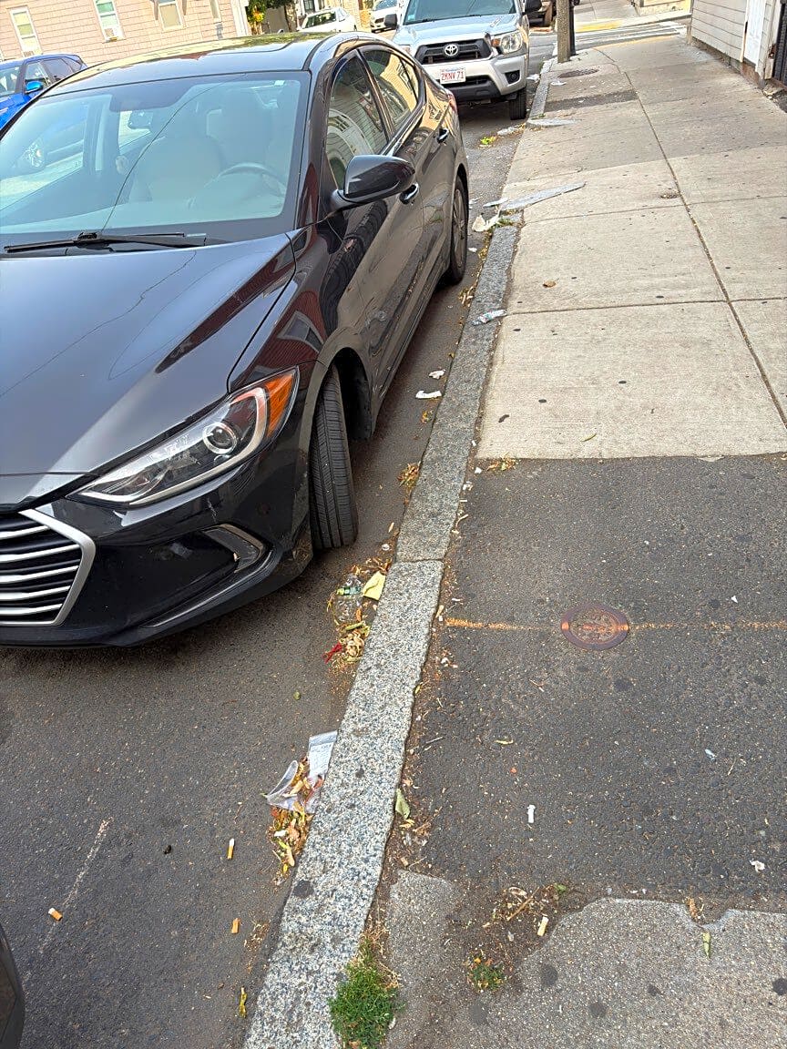 Image submitted with report